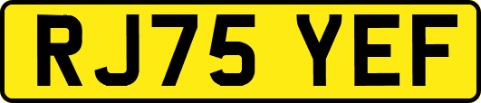 RJ75YEF