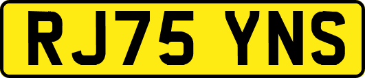 RJ75YNS
