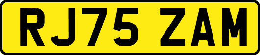 RJ75ZAM
