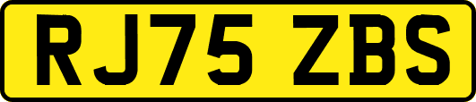 RJ75ZBS