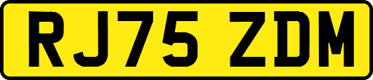 RJ75ZDM
