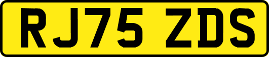RJ75ZDS