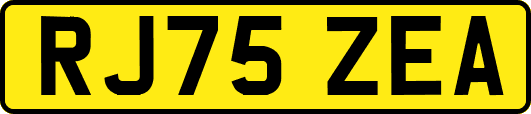RJ75ZEA