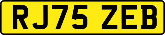RJ75ZEB
