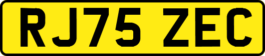 RJ75ZEC