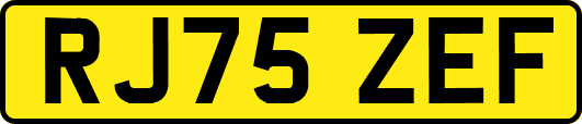 RJ75ZEF