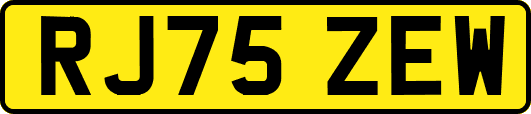 RJ75ZEW