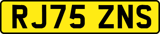 RJ75ZNS