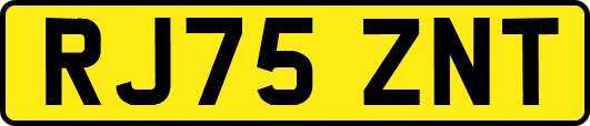 RJ75ZNT