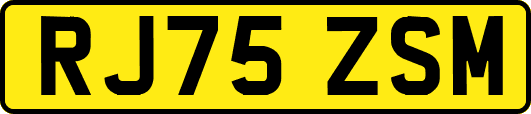 RJ75ZSM