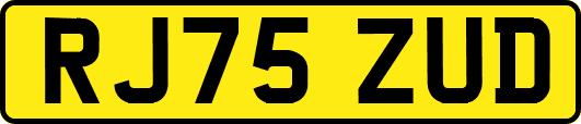 RJ75ZUD