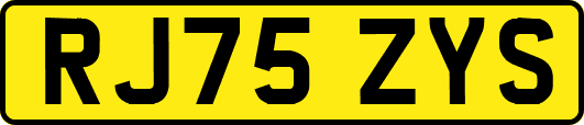 RJ75ZYS