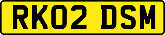 RK02DSM