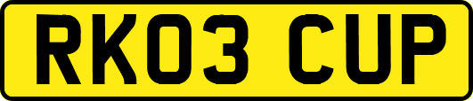 RK03CUP