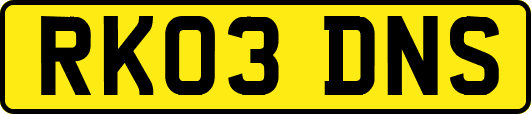 RK03DNS