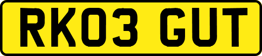 RK03GUT