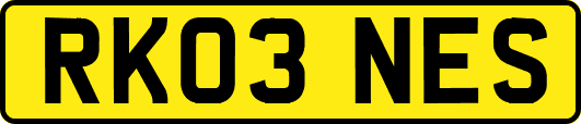 RK03NES