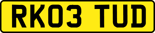 RK03TUD
