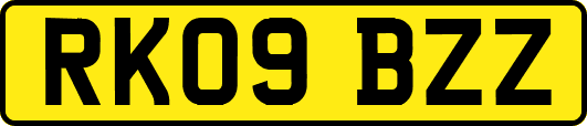 RK09BZZ