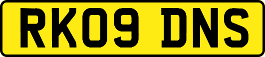 RK09DNS