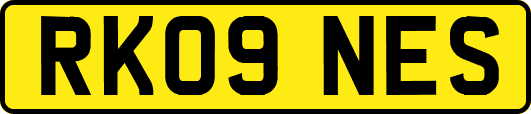 RK09NES