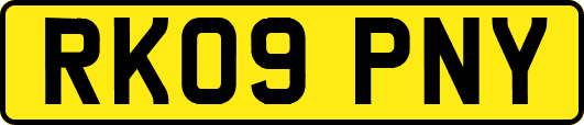 RK09PNY