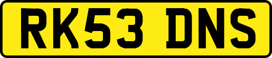 RK53DNS