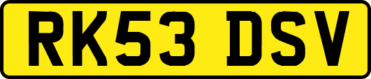 RK53DSV