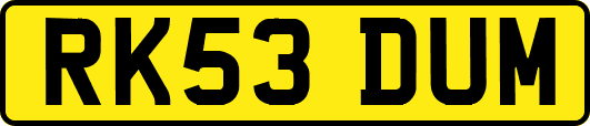 RK53DUM