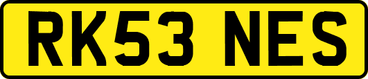 RK53NES