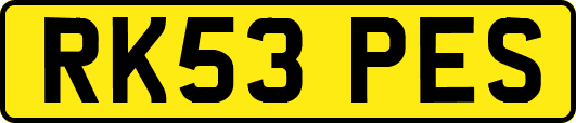 RK53PES