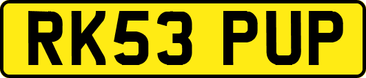 RK53PUP