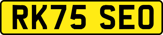 RK75SEO