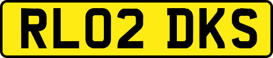 RL02DKS