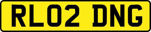 RL02DNG