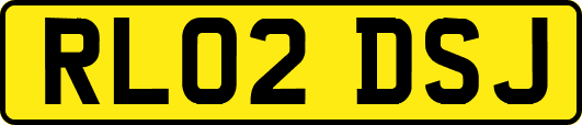 RL02DSJ
