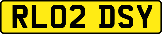 RL02DSY