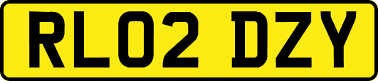 RL02DZY