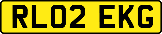 RL02EKG