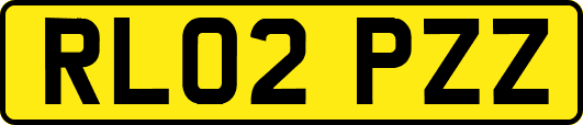 RL02PZZ