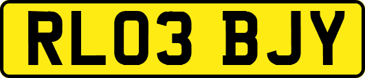 RL03BJY