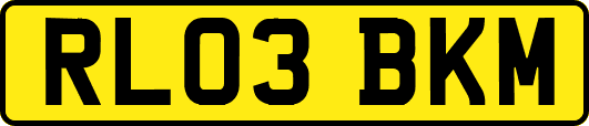 RL03BKM