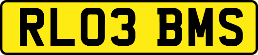 RL03BMS