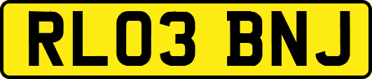 RL03BNJ