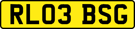 RL03BSG