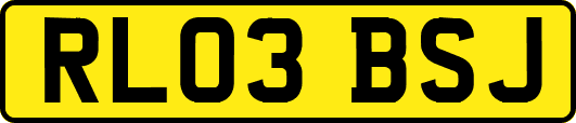 RL03BSJ