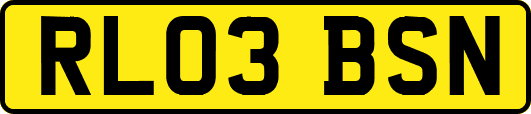RL03BSN