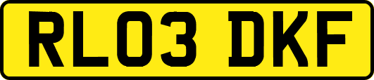 RL03DKF