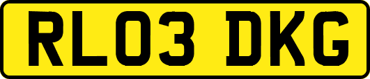 RL03DKG