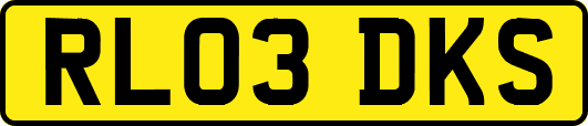 RL03DKS